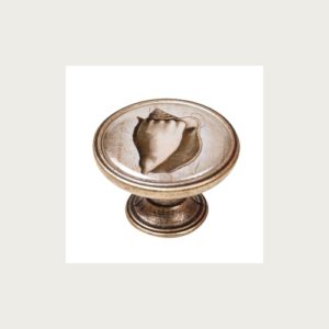 BOUTON 37MM VIEUX LAITON COQUILLE 1